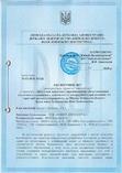 Експертний звіт